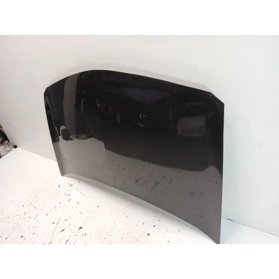 Capot para Renault Megane Ii (Bm0/1_, Cm0/1_)