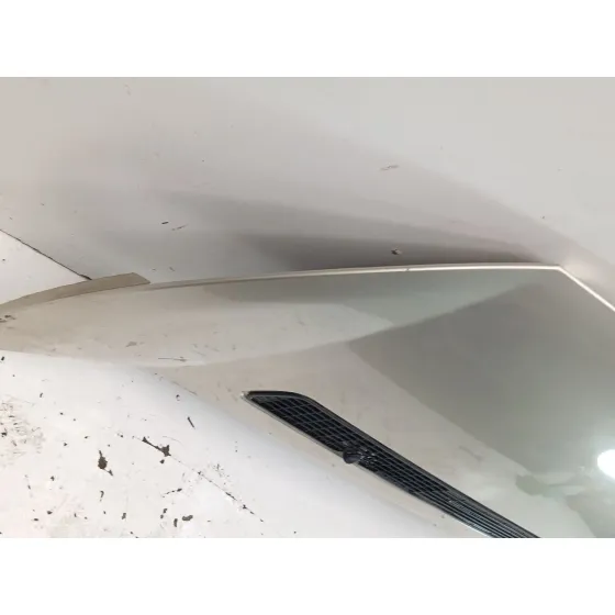 Capot para Fiat Scudo Furgoneta (270_, 272_)