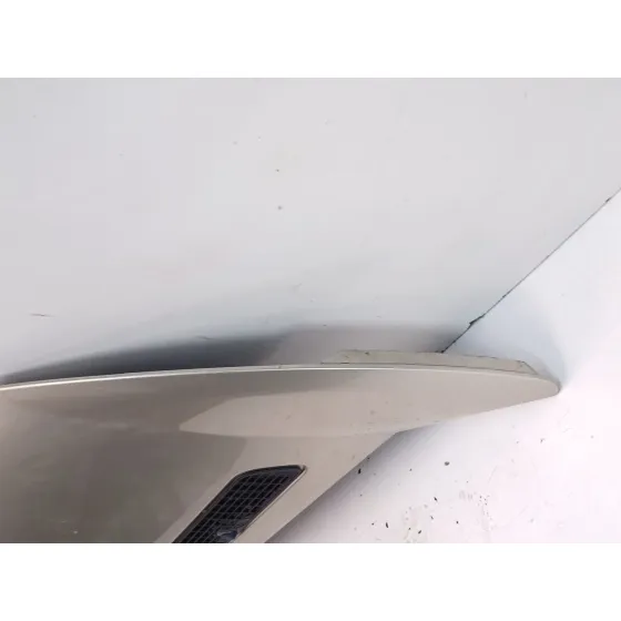 Capot para Fiat Scudo Furgoneta (270_, 272_)