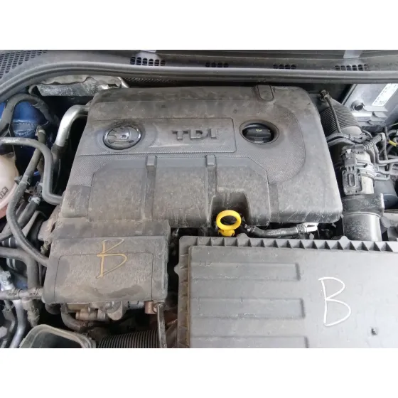 Motor Completo para Skoda Rapid Spaceback (Nh1)