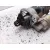 Motor Arranque para Volkswagen Caddy Iii Monospace (2Kb, 2Kj, 2Cb, 2Cj)
