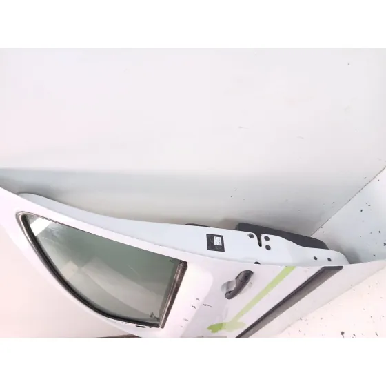 Puerta Delantera Izquierda para Renault Kangoo Express (Fw0/1_)
