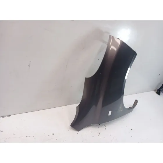Aleta Delantera Derecha para Nissan Micra Iii (K12)