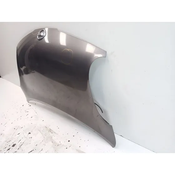 Capot para Nissan Micra Iii (K12)