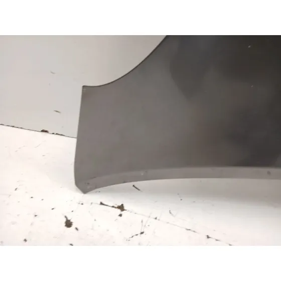 Capot para Nissan Micra Iii (K12)