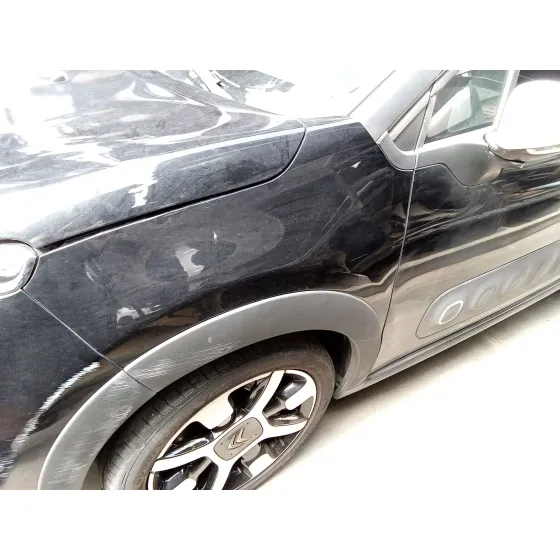 Aleta Delantera Izquierda para Citroën C3 Iii (Sx)