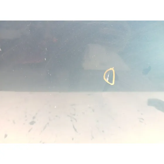 Puerta Delantera Derecha para Opel Corsa C (X01)