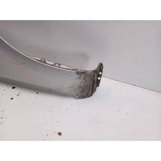 Aleta Delantera Derecha para Ford Focus C-Max (Dm2)