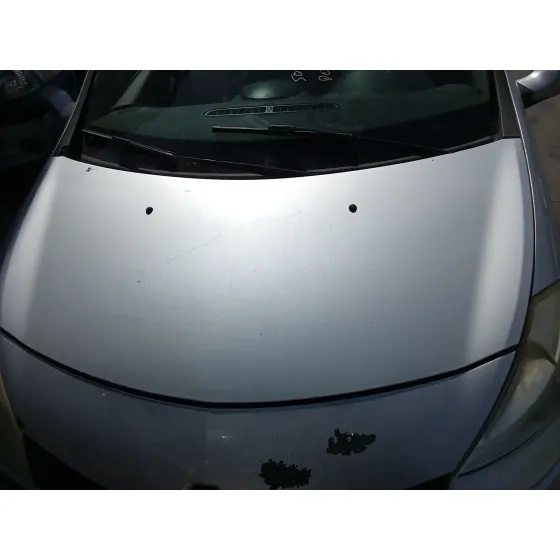 Capot para Renault Clio Iii (Br0/1, Cr0/1)