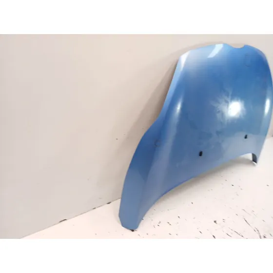 Capot para Ford Fiesta Vi (Cb1, Ccn)