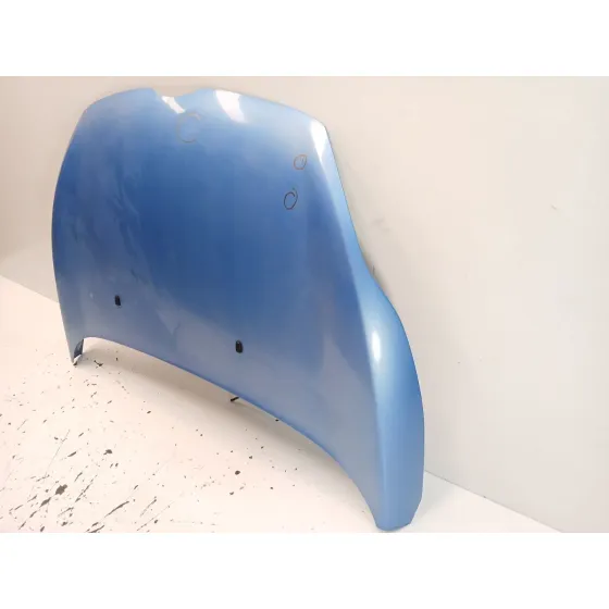 Capot para Ford Fiesta Vi (Cb1, Ccn)