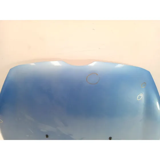 Capot para Ford Fiesta Vi (Cb1, Ccn)