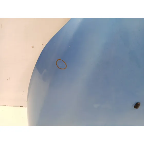 Capot para Ford Fiesta Vi (Cb1, Ccn)