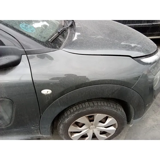 Aleta Delantera Derecha para Citroën C4 Cactus