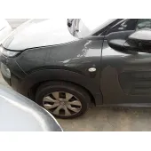 Aleta Delantera Izquierda para Citroën C4 Cactus