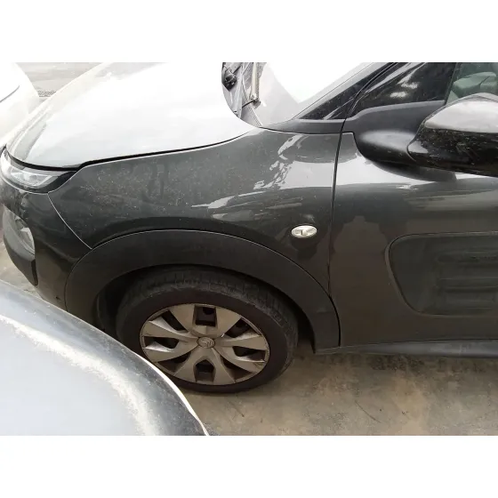 Aleta Delantera Izquierda para Citroën C4 Cactus
