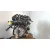 Despiece Motor para Ford Focus C-Max (Dm2)