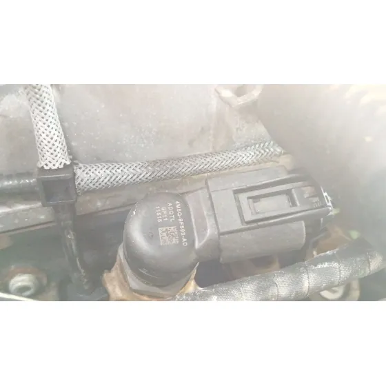 Despiece Motor para Ford Focus C-Max (Dm2)