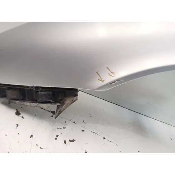 Aleta Delantera Izquierda para Seat Leon (1M1)