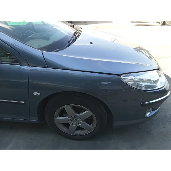 Aleta Delantera Derecha para Peugeot 407 (6D_)