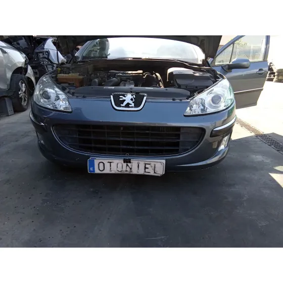 Paragolpes Delantero para Peugeot 407 (6D_)
