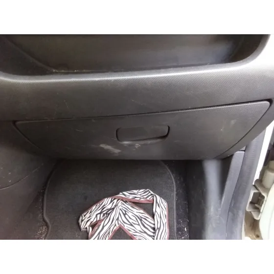 Guantera para Renault Zoe (Bfm_)