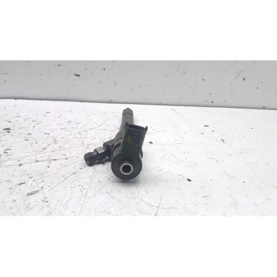 Inyector para Fiat Doblo Ii Cargo (263)