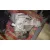 Caja Cambios para Chrysler Pt Cruiser (Pt)