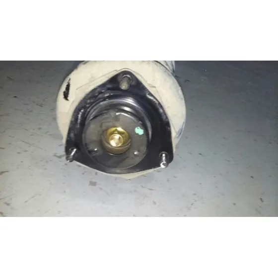 Amortiguador Delantero Derecho para Nissan X-Trail (T30)