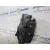 Cerradura Puerta Delantera Derecha para Seat Ibiza (6J5)