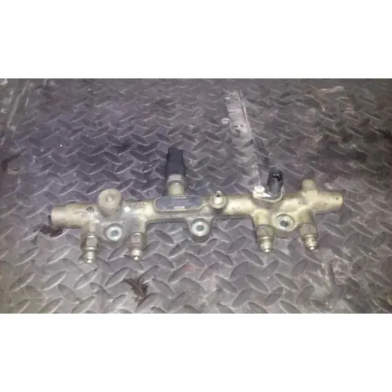 Rampa Inyectora para Renault Scenic (Ja..)
