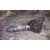 Mando Luces para Nissan Primera Berlina (P12)