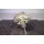 Servofreno para Fiat Bravo (182)