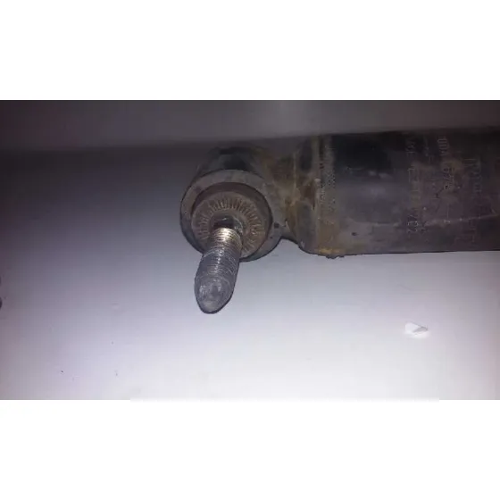 Amortiguador Trasero Derecho para Renault Scenic Ii