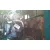 Motor Completo para Opel Vectra B Berlina