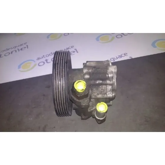 Bomba Direccion para Fiat Ulysse (179)