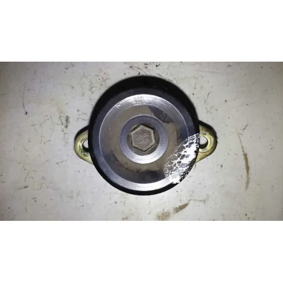 Polea Alternador para Ford Focus Berlina (Cak)