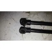 Amortiguadores Maletero / Porton para Land Rover Discovery 4
