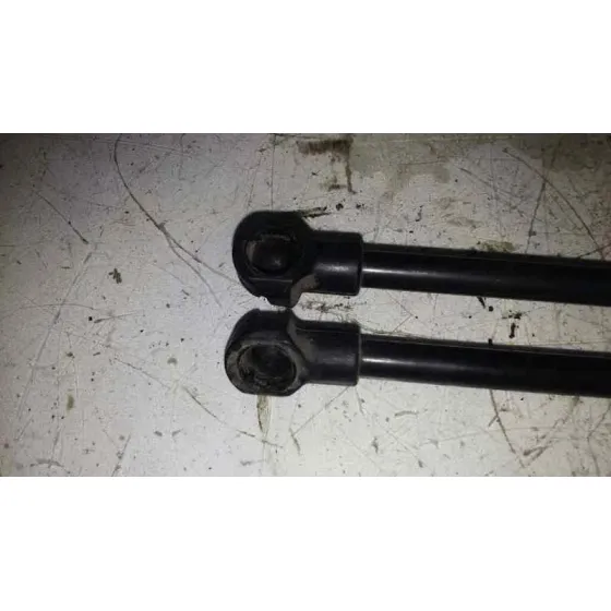 Amortiguadores Maletero / Porton para Land Rover Discovery 4