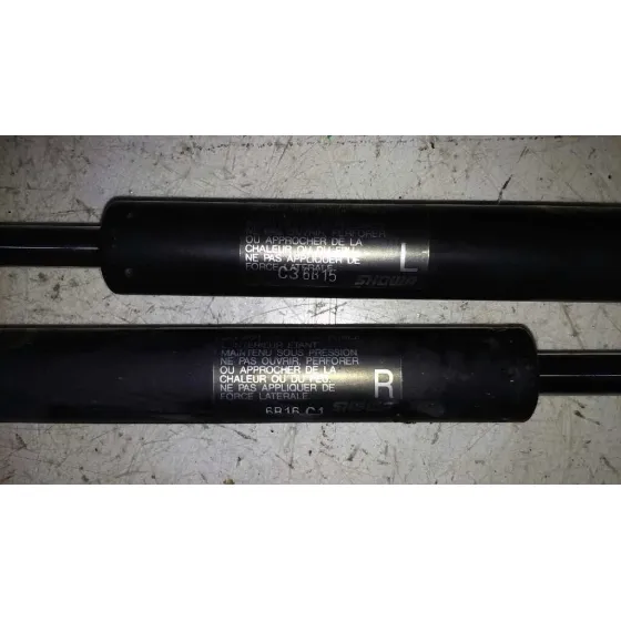 Amortiguadores Maletero / Porton para Mazda 6 Monovolumen (Gy)