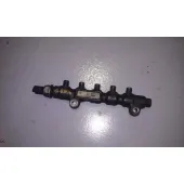 Rampa Inyectora para Ford Focus Berlina (Cap)