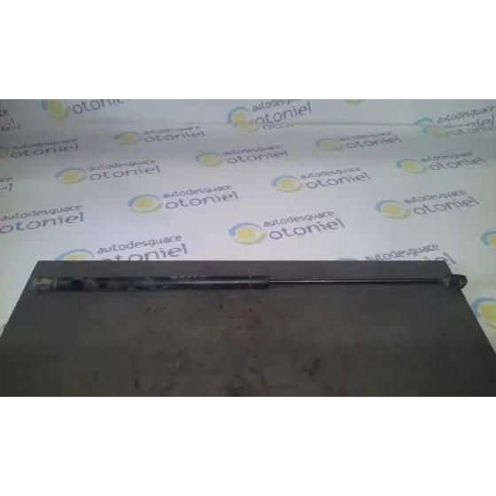 Amortiguadores Capo para Seat Toledo (1M2)