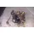 Bomba Inyeccion para Renault Megane Iii Coupe
