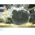 Caja Cambios para Ford Focus Turnier (Cak)