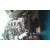 Motor Completo para Nissan Primera Berlina (P12)