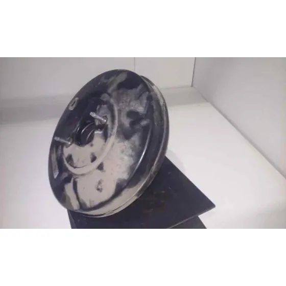 Servofreno para Opel Meriva