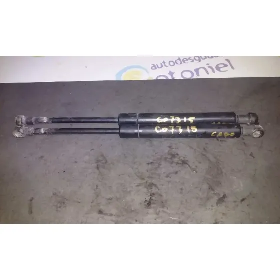Amortiguadores Capo para Bmw Serie 3 Berlina (E46)