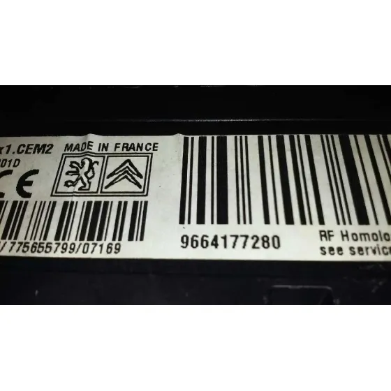 Modulo Electronico para Peugeot 407
