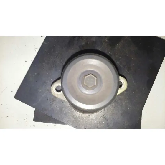 Polea Alternador para Ford Focus Turnier (Cak)