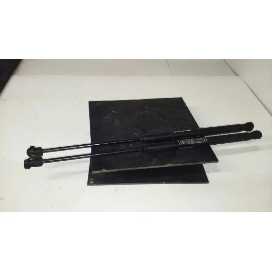 Amortiguadores Maletero / Porton para Fiat Bravo (182)